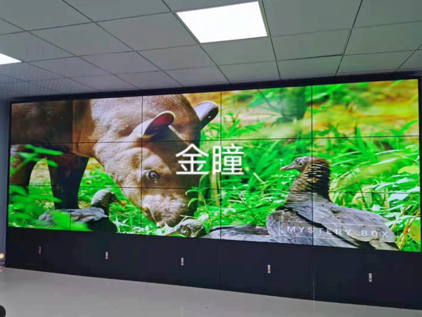 貴州銅仁林業(yè)49寸3.5mm3X5機柜+矩陣